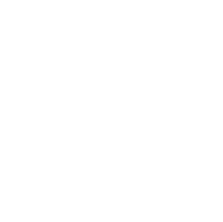 Fresh organic vegetables from Green & Organic in Thailand.