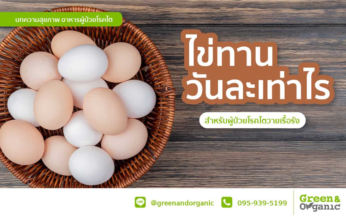 ไข่ทานได้วันละกี่ฟอง