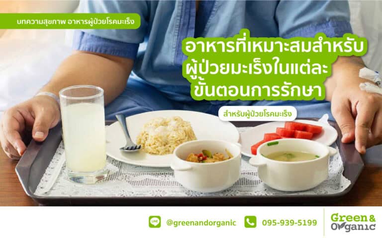Fresh organic food for cancer patients at Green & Organic Thailand.