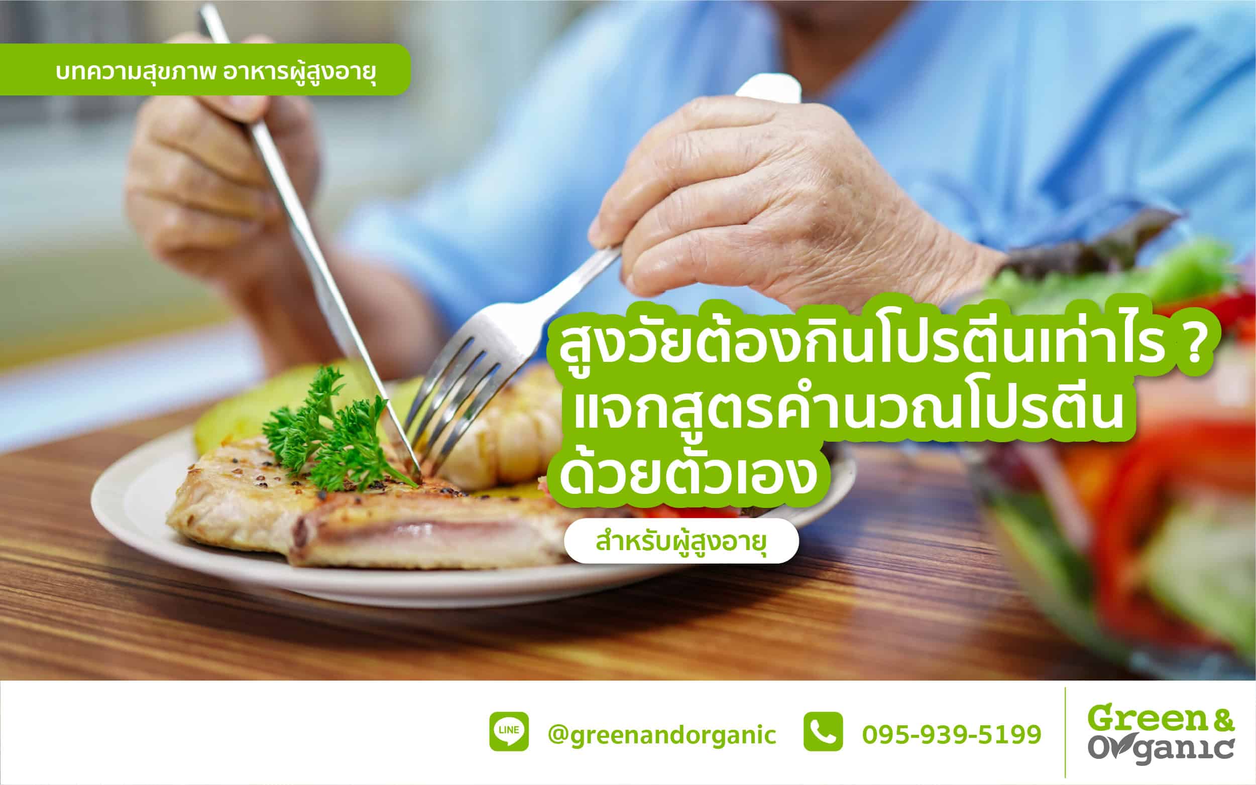 Fresh organic meal with healthy food for the elderly, promoting protein intake with homemade recipes.