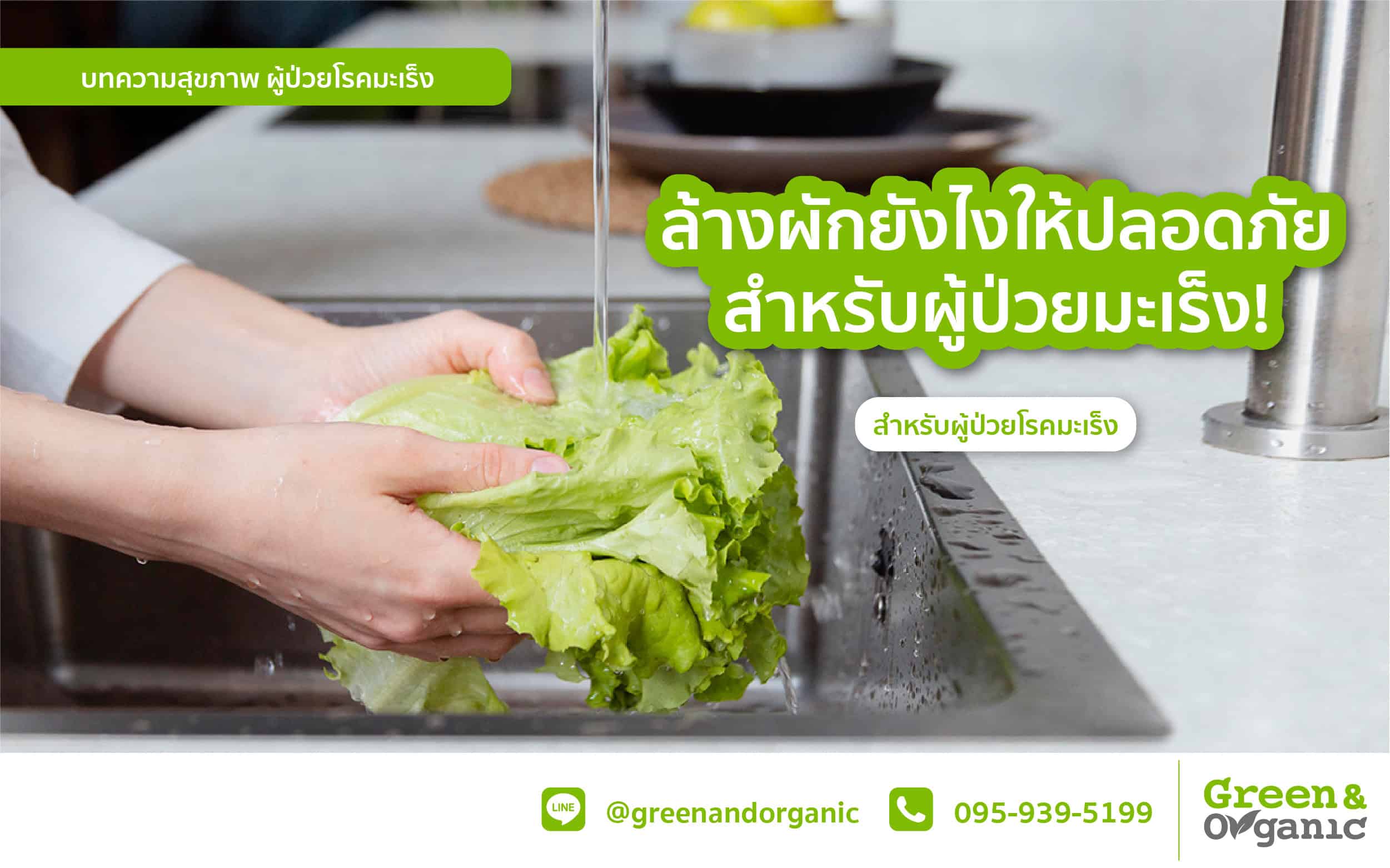 Fresh organic lettuce being washed under running water for safe consumption for cancer patients.
