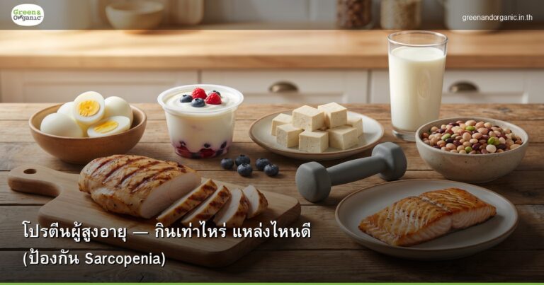 โปรตีนผู้สูงอายุ — กินเท่าไหร่ แหล่งไหนดี (ป้องกัน Sarcopenia) | Green & Organic